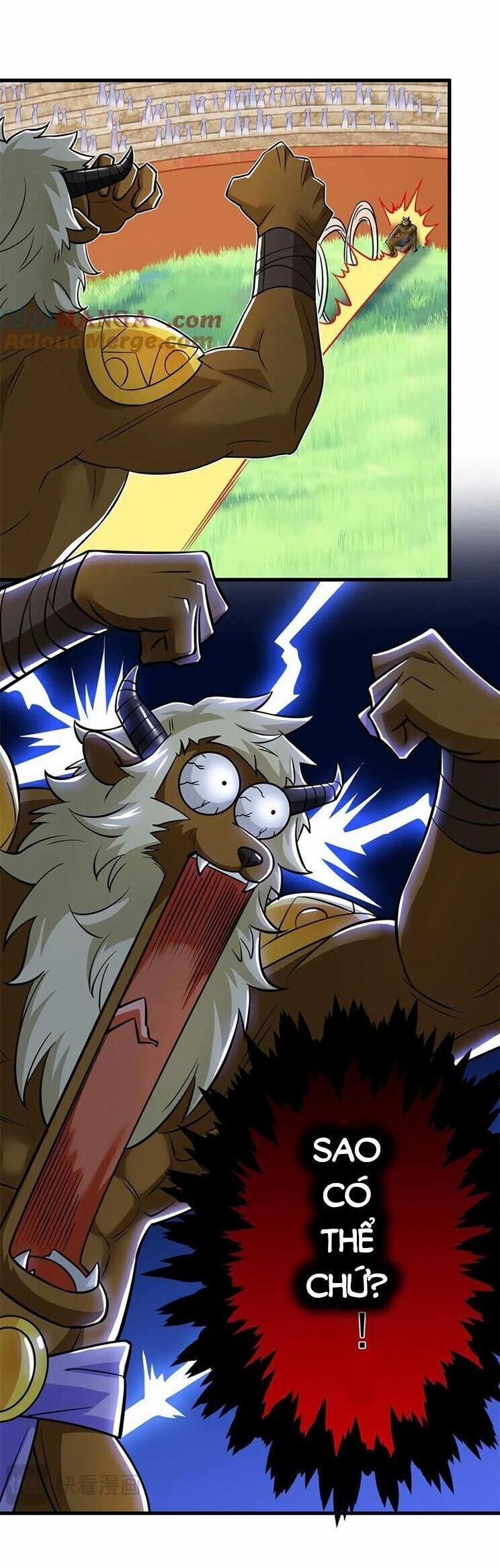 Cường Giả Đến Từ Trại Tâm Thần 333 trang 16