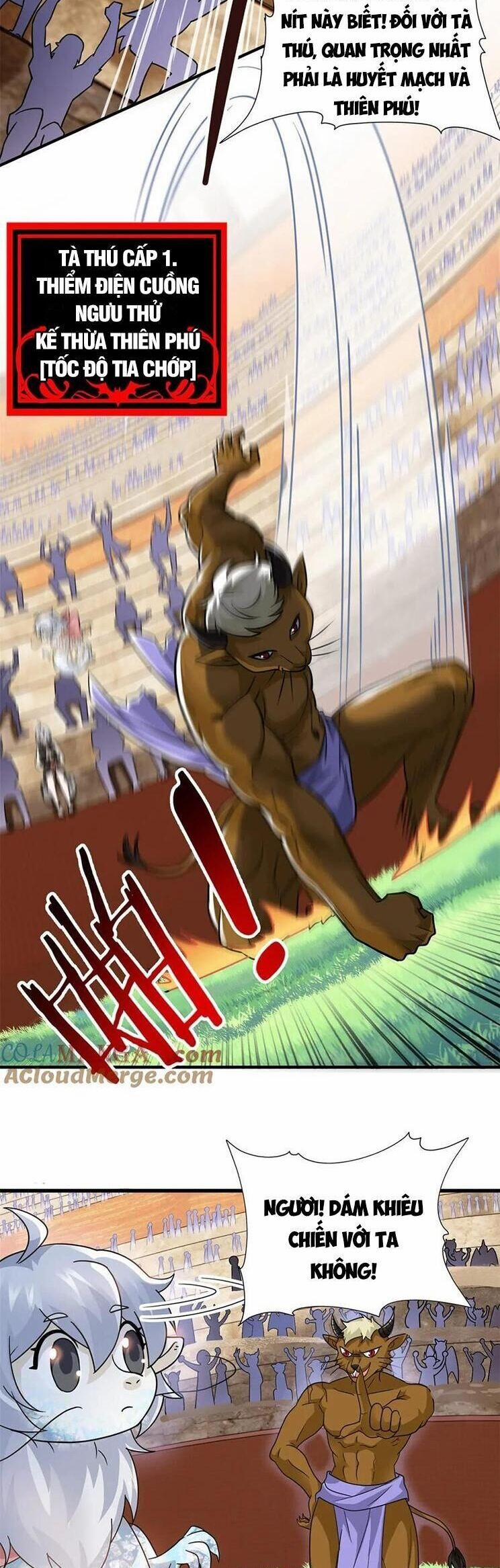 Cường Giả Đến Từ Trại Tâm Thần 333 trang 7