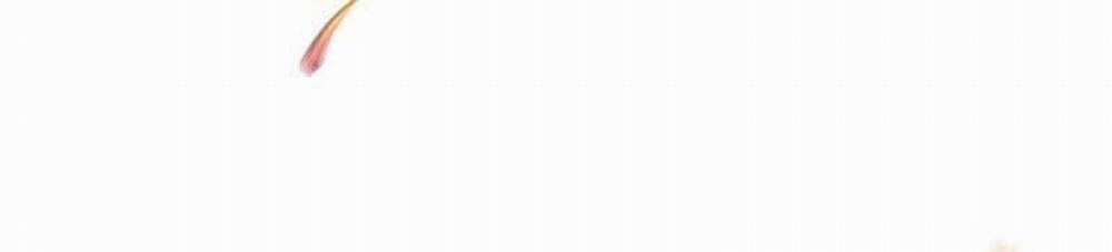 Cuồng Ma Tái Thế 56 trang 37