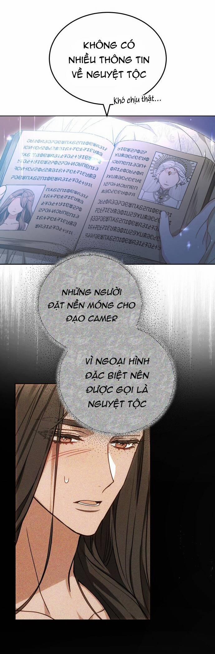 CƯỚP DÂU 65.1 trang 29