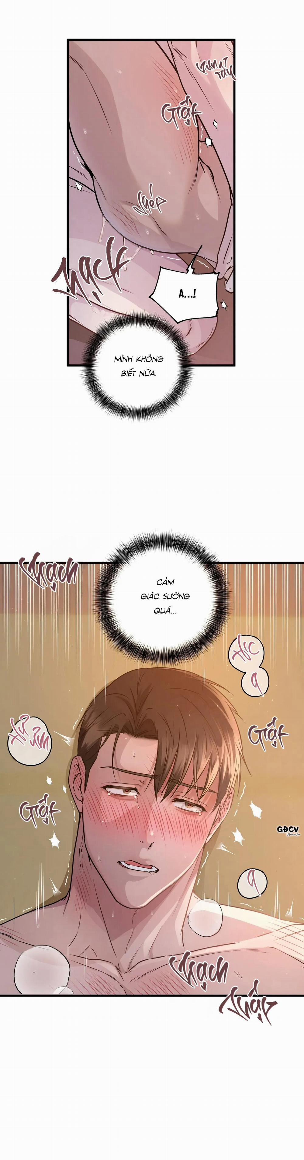 CỨU TINH CỦA RẮN 2 trang 1