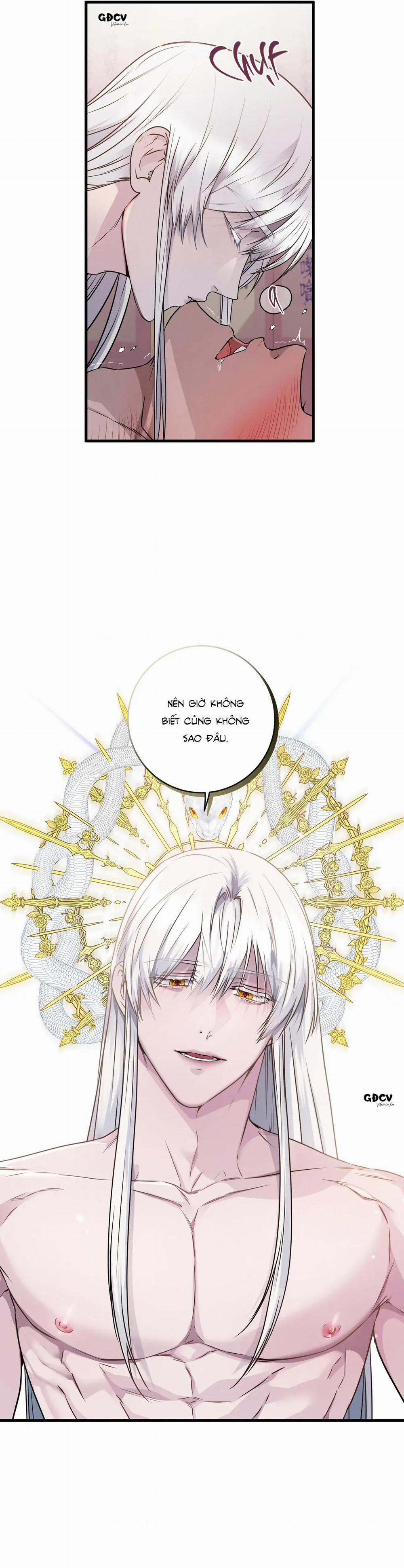 CỨU TINH CỦA RẮN 2 trang 10