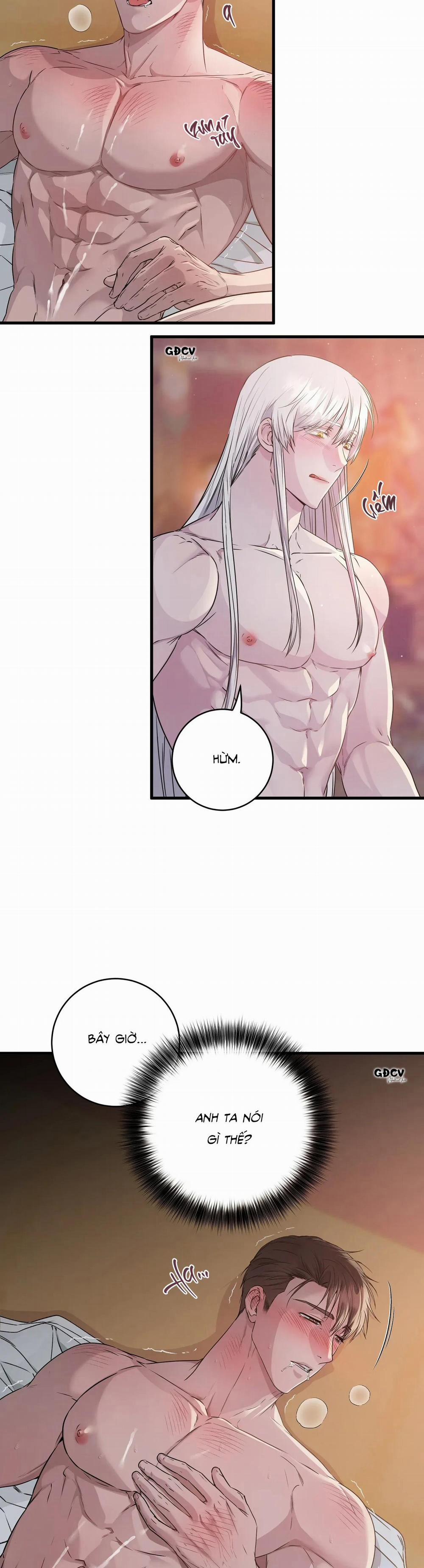 CỨU TINH CỦA RẮN 2 trang 17