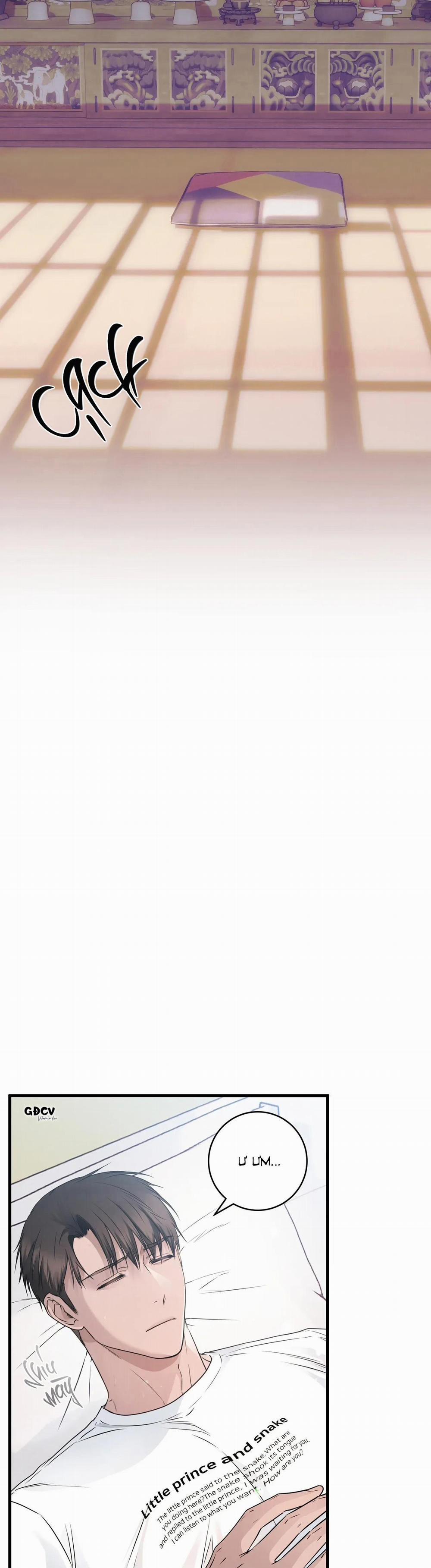 CỨU TINH CỦA RẮN 2 trang 21