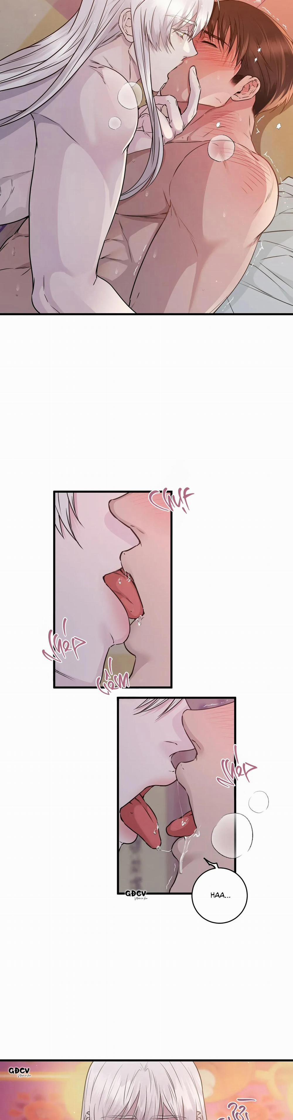 CỨU TINH CỦA RẮN 2 trang 3