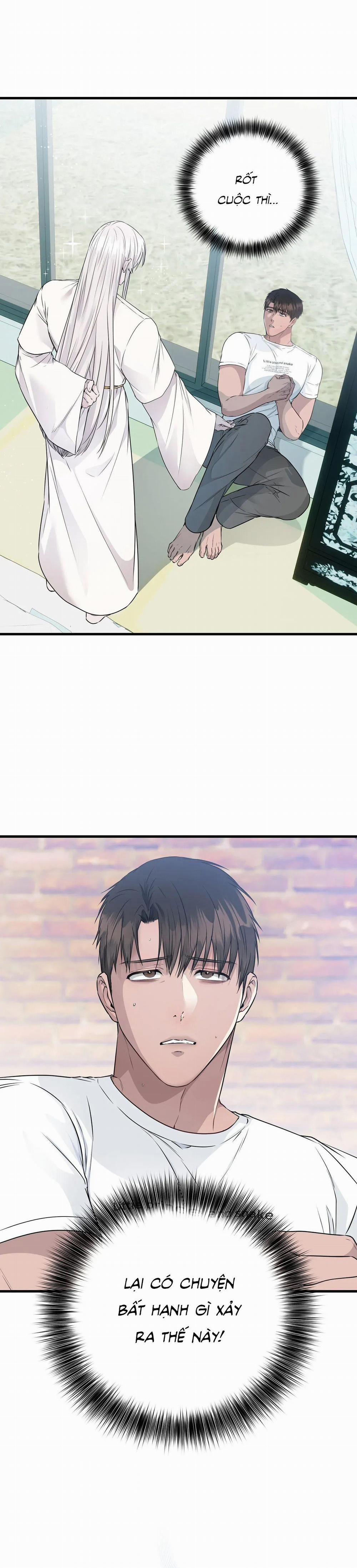 CỨU TINH CỦA RẮN 3 trang 1