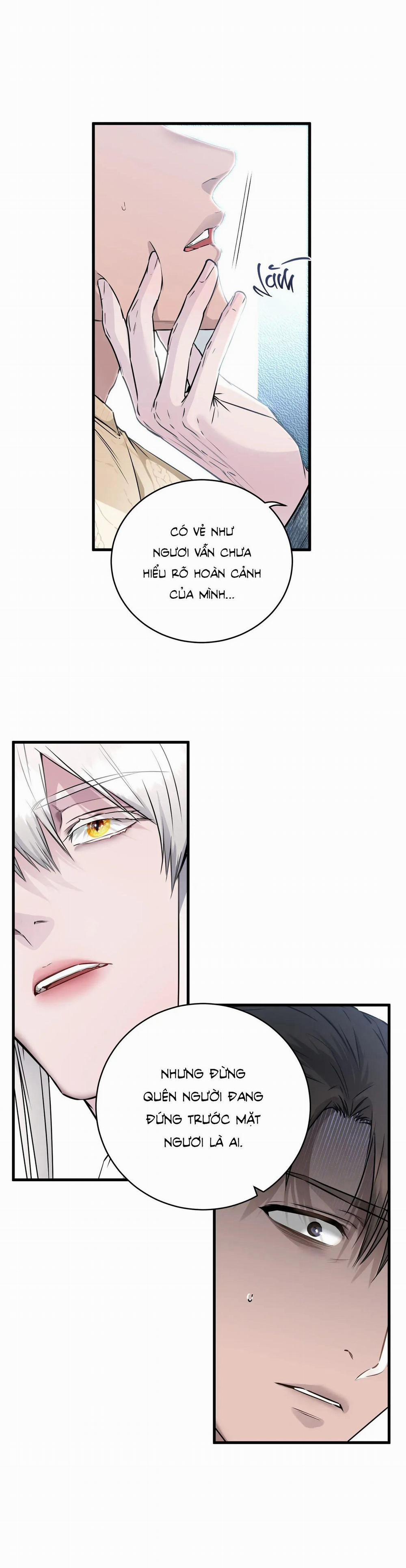 CỨU TINH CỦA RẮN 3 trang 19