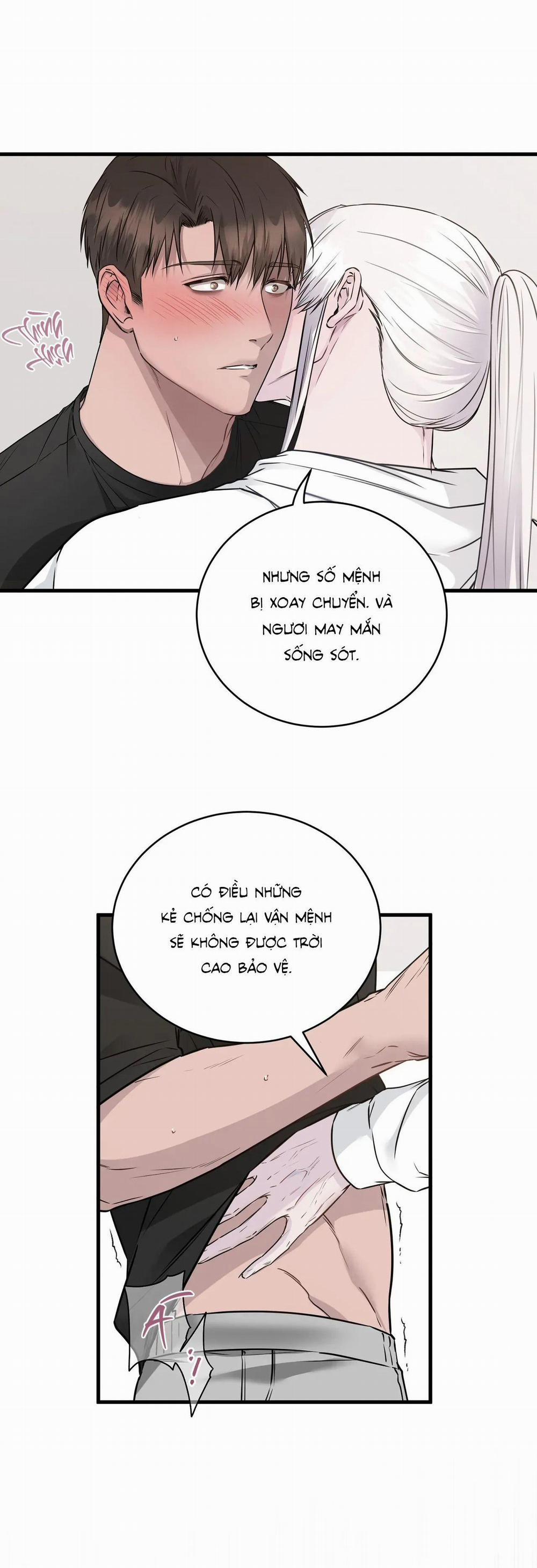 CỨU TINH CỦA RẮN 4 trang 22