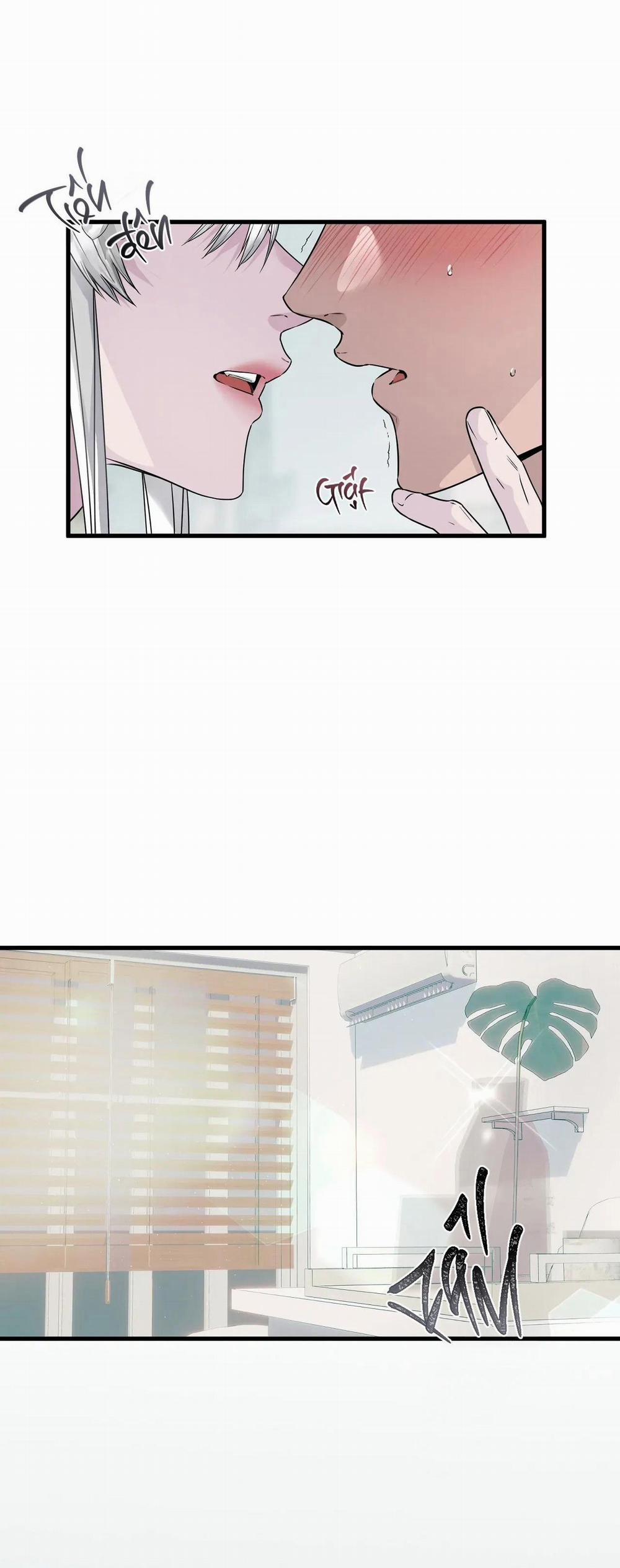 CỨU TINH CỦA RẮN 4 trang 5