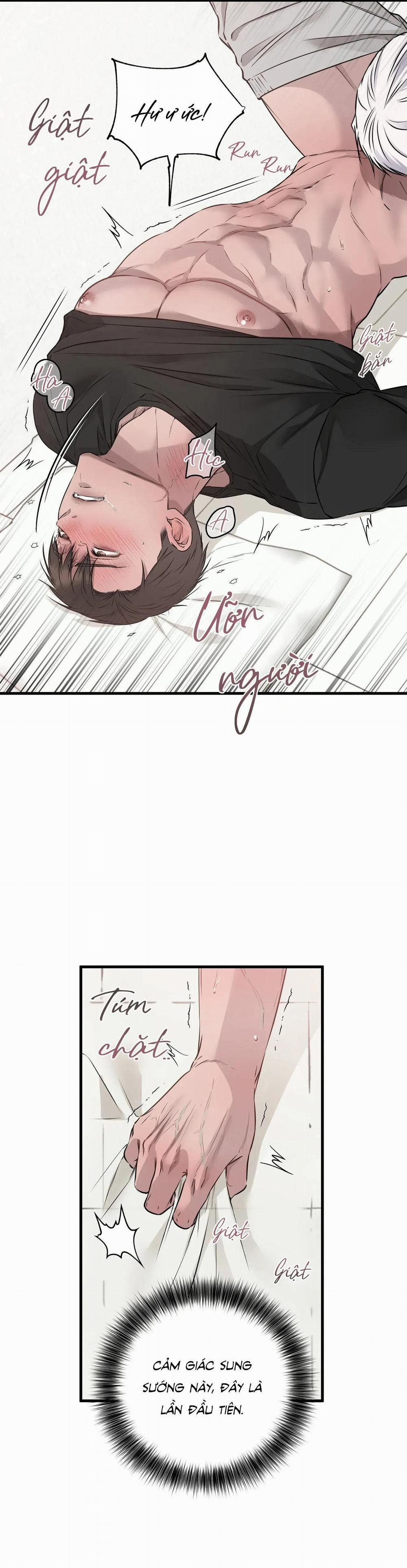 CỨU TINH CỦA RẮN 5 0 trang 15