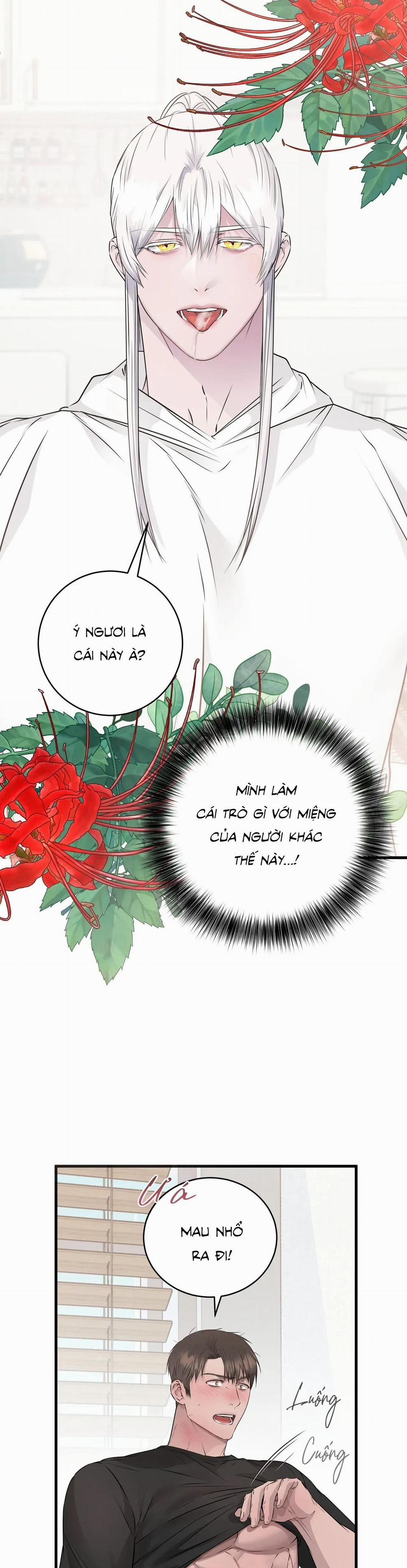 CỨU TINH CỦA RẮN 5 0 trang 17