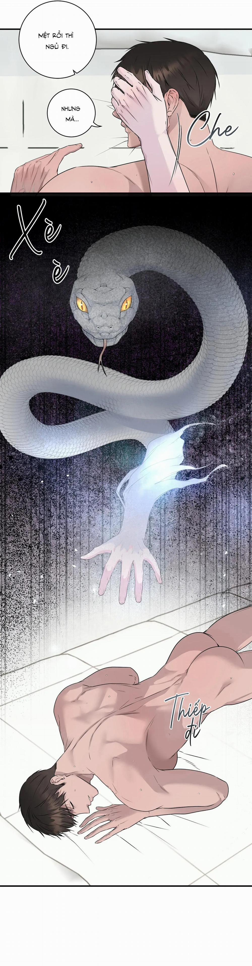 CỨU TINH CỦA RẮN 6 0 trang 10