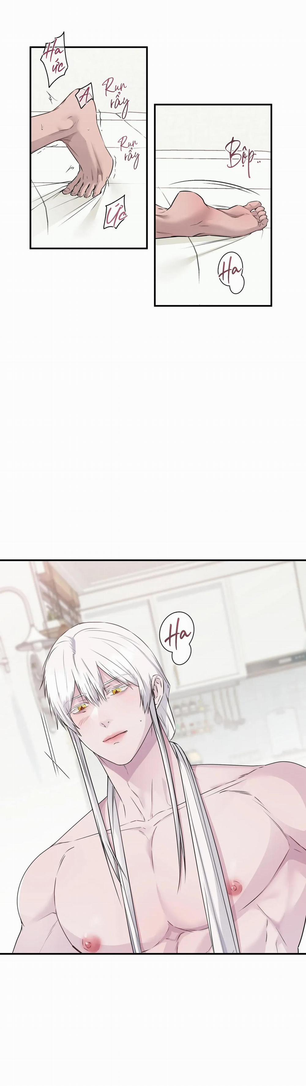 CỨU TINH CỦA RẮN 6 0 trang 8