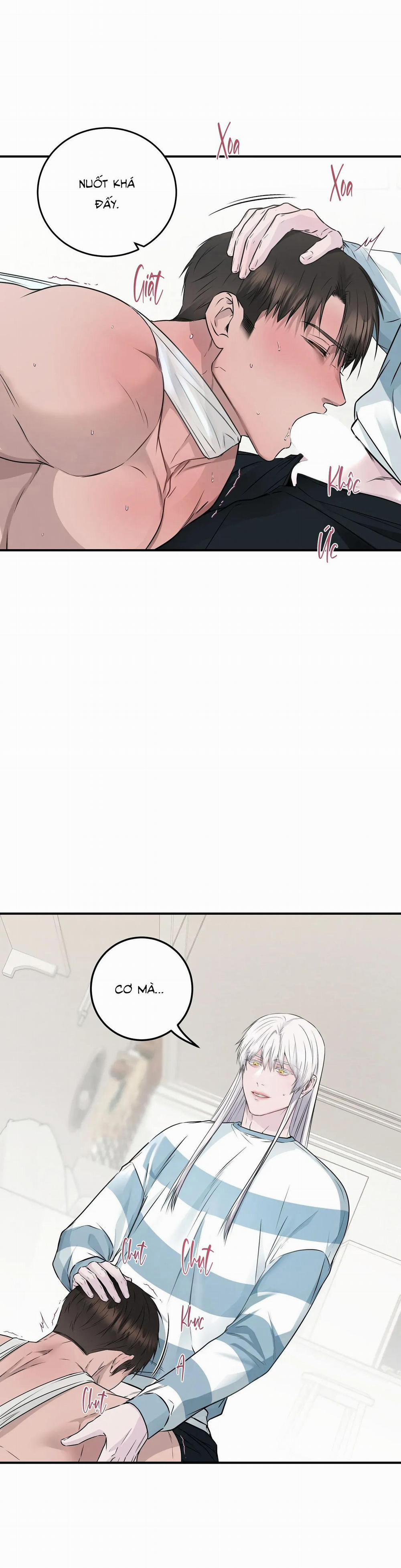 CỨU TINH CỦA RẮN 8 0 trang 12