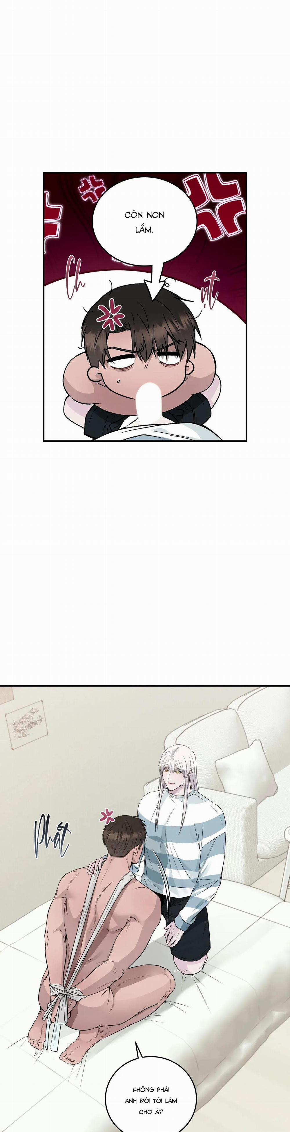 CỨU TINH CỦA RẮN 8 0 trang 13