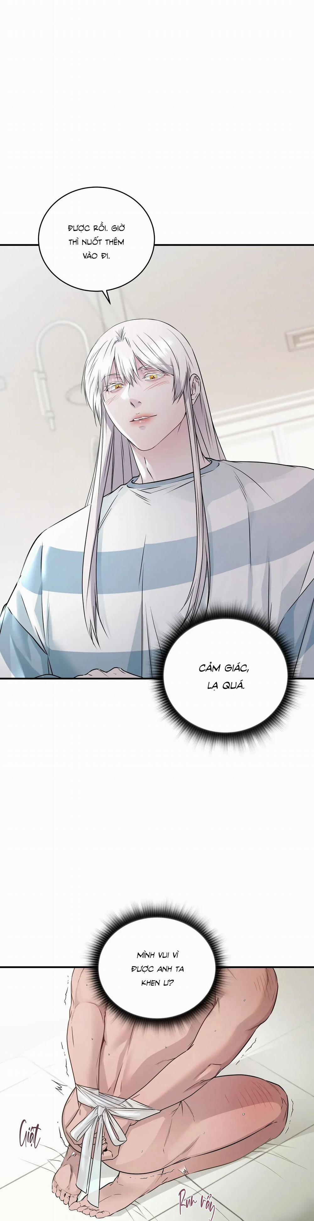 CỨU TINH CỦA RẮN 8 0 trang 16