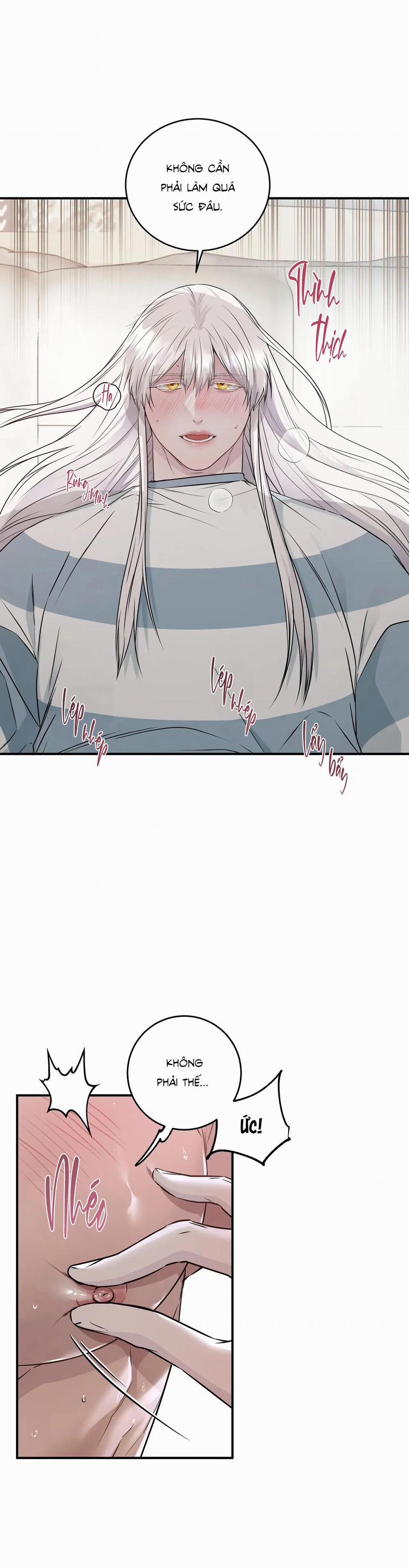 CỨU TINH CỦA RẮN 8 0 trang 28