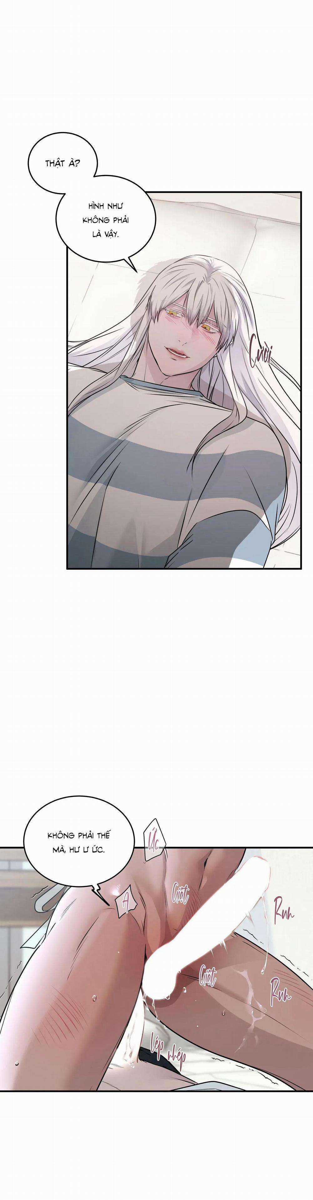 CỨU TINH CỦA RẮN 8 0 trang 29