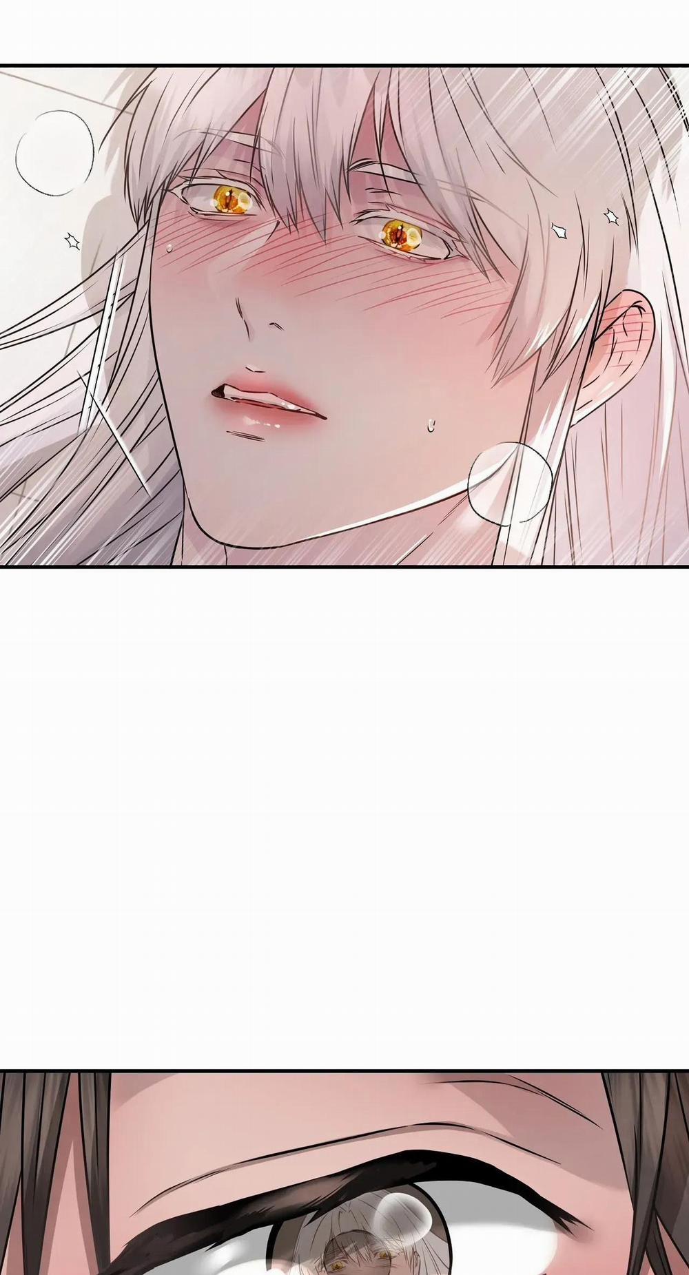 CỨU TINH CỦA RẮN 8 0 trang 32