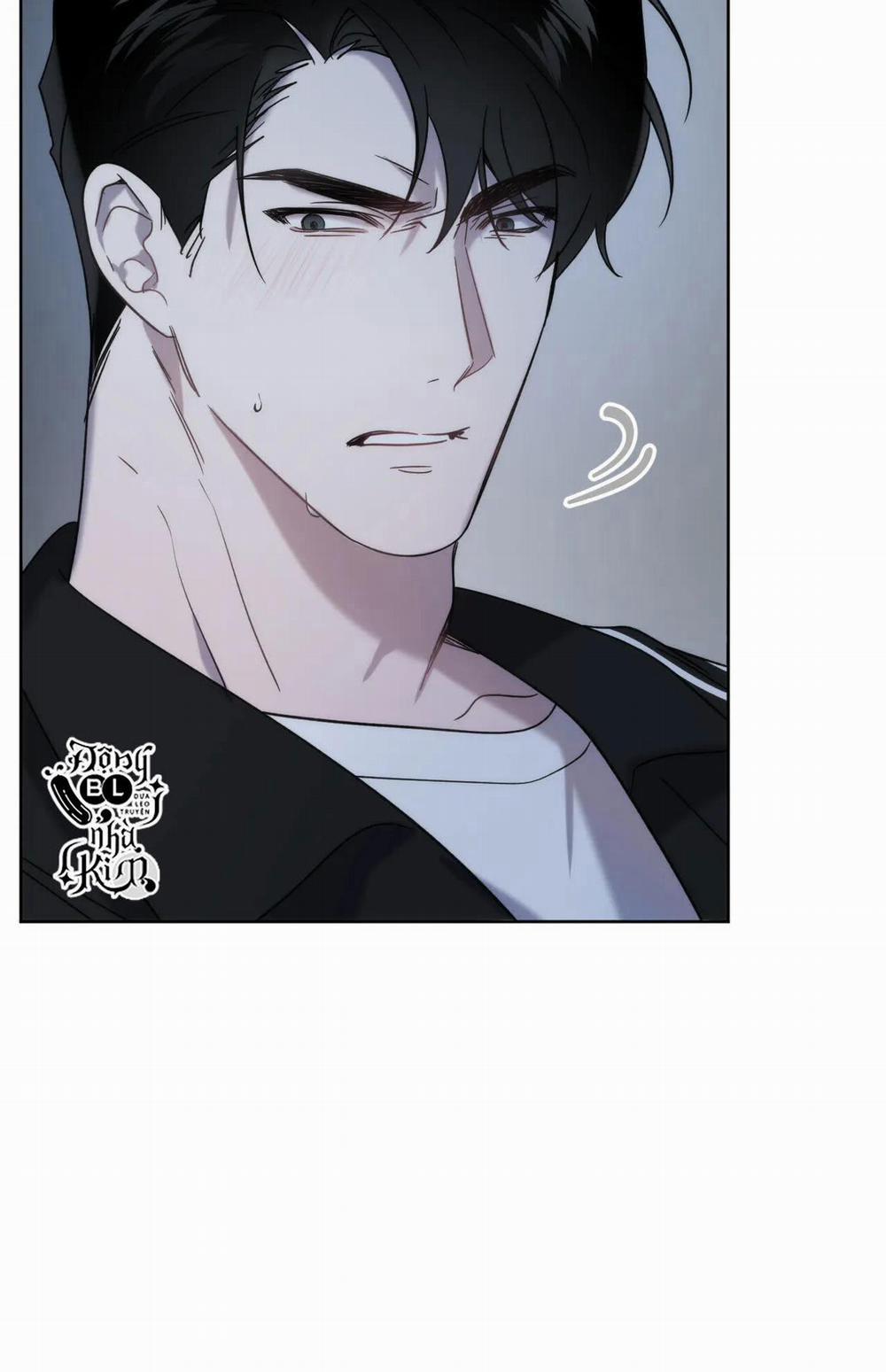 Đã Hiểu Chưa 11 trang 67