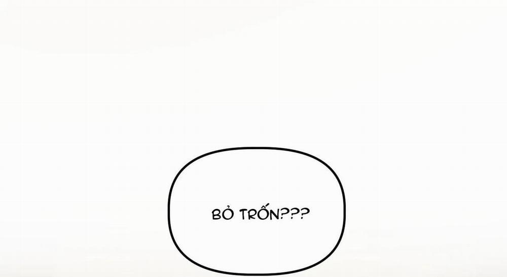 Đã Hiểu Chưa 13 trang 17