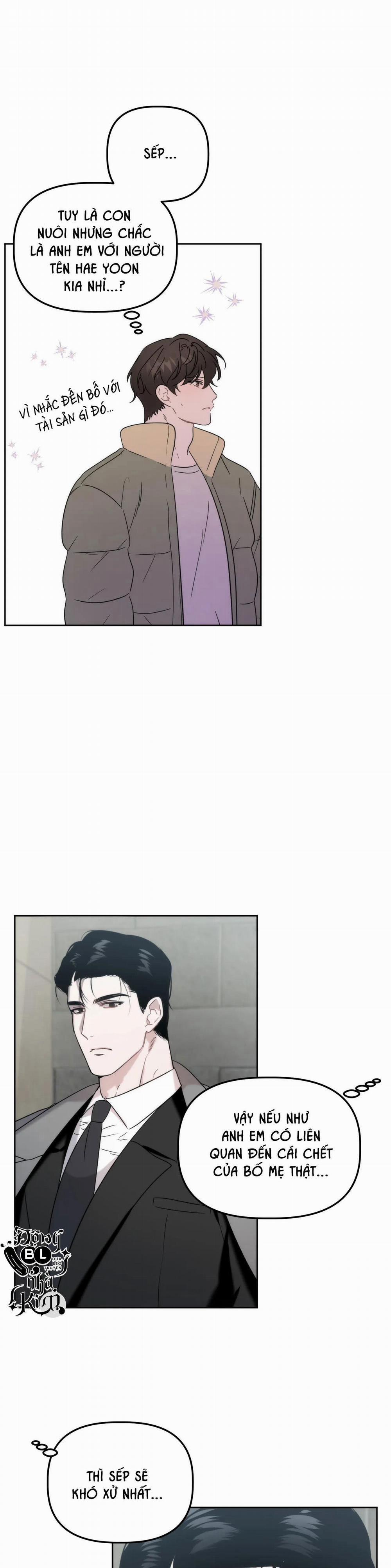 Đã Hiểu Chưa 15 trang 8