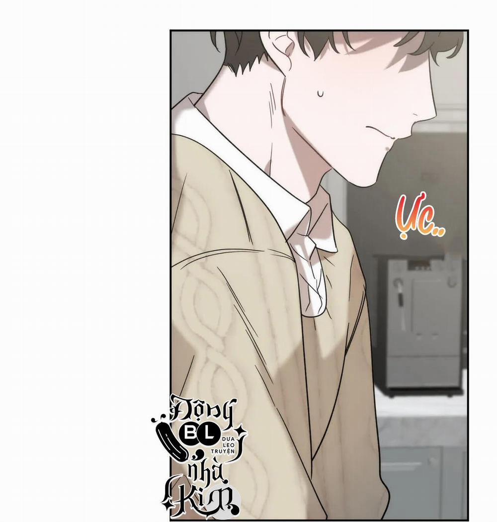 Đã Hiểu Chưa 17 trang 87