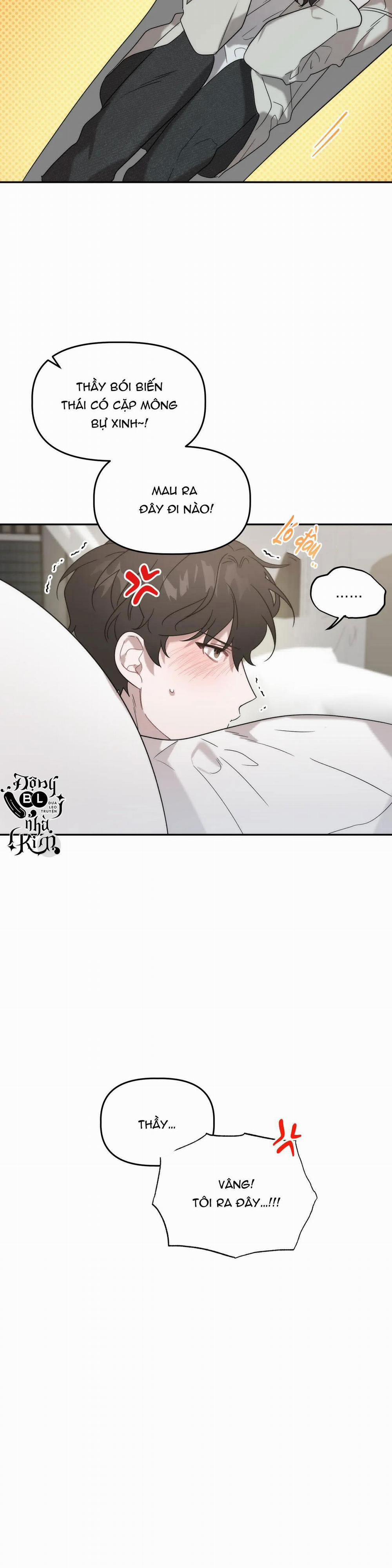 Đã Hiểu Chưa 20 trang 3