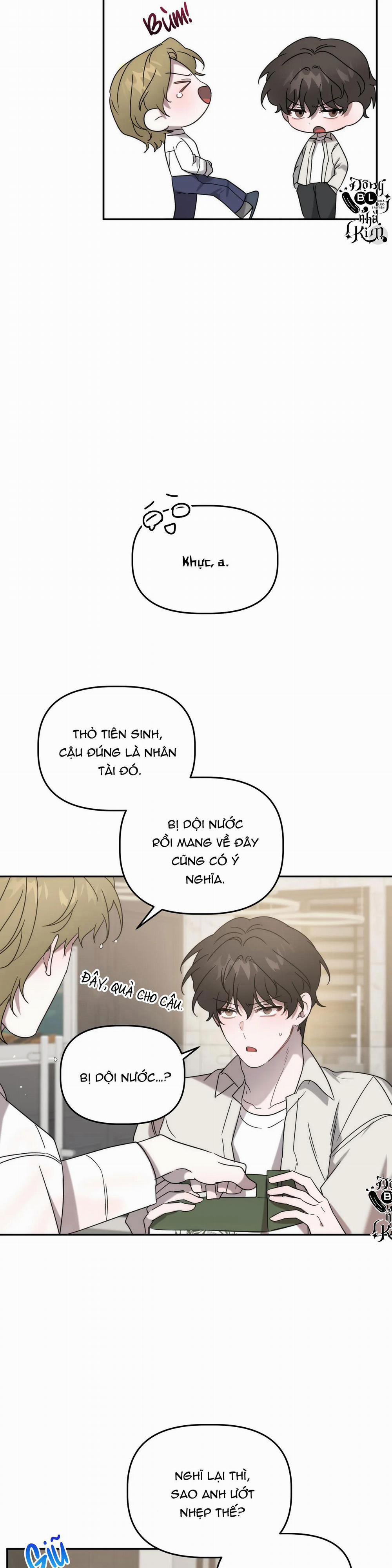 Đã Hiểu Chưa 20 trang 6