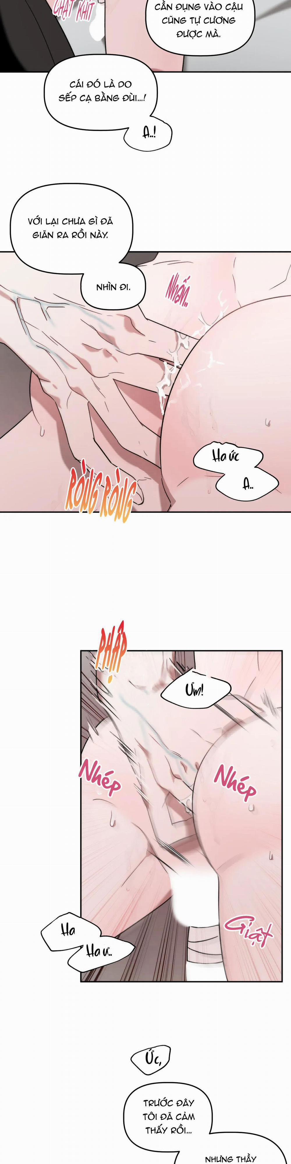 Đã Hiểu Chưa 24 trang 6