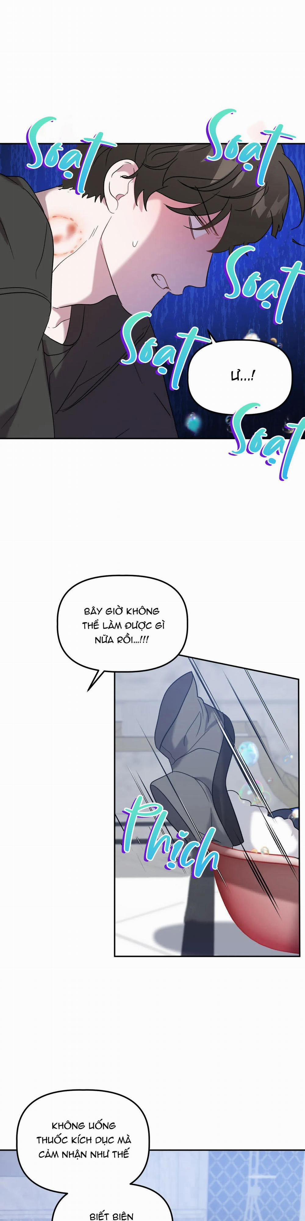 Đã Hiểu Chưa 25 trang 13