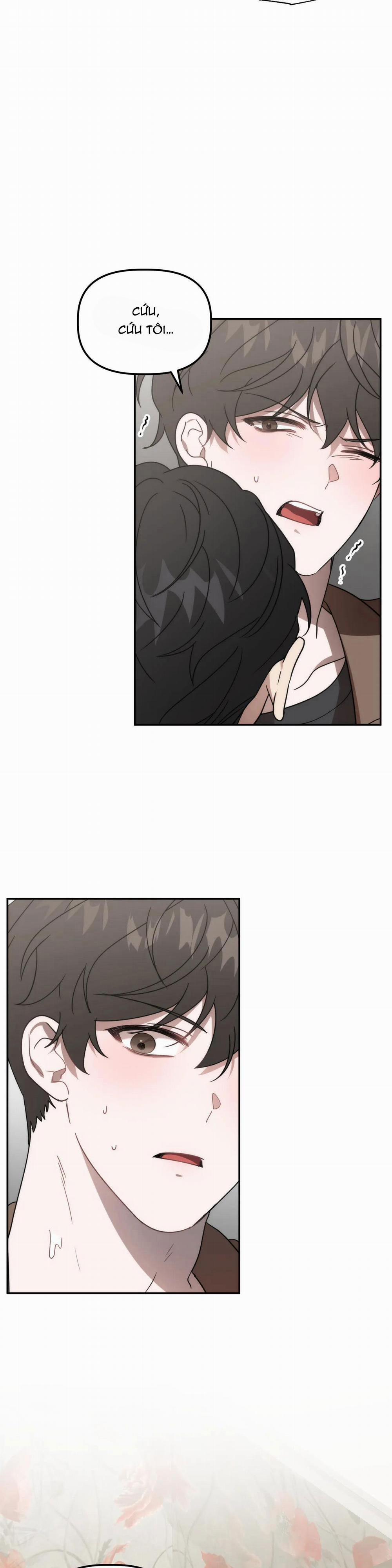 Đã Hiểu Chưa 29 trang 10