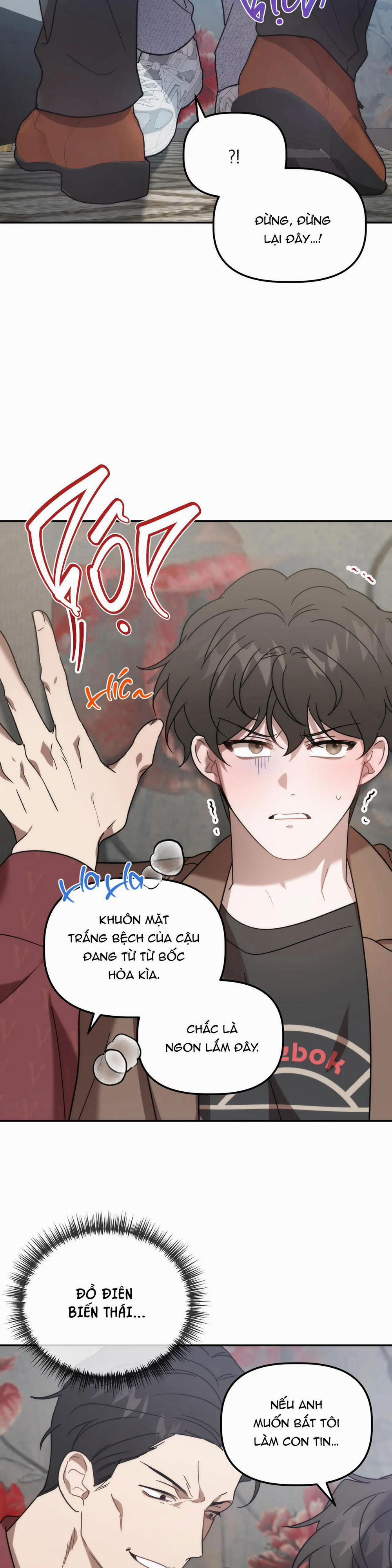 Đã Hiểu Chưa 29 trang 8