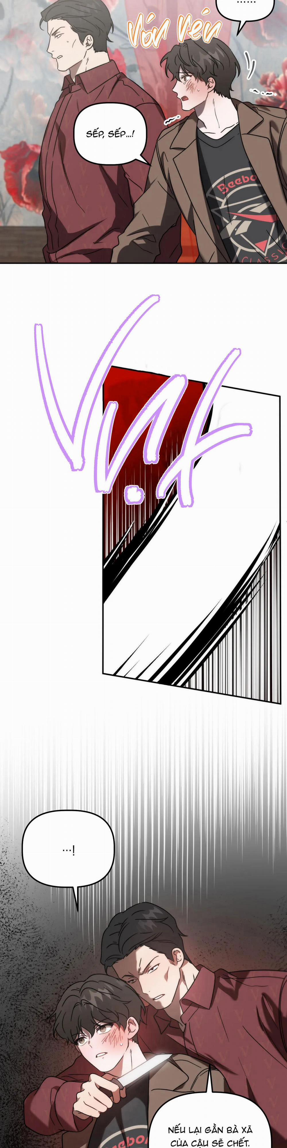 Đã Hiểu Chưa 30 trang 15