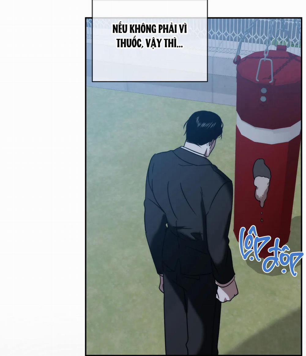 Đã Hiểu Chưa 31 trang 31