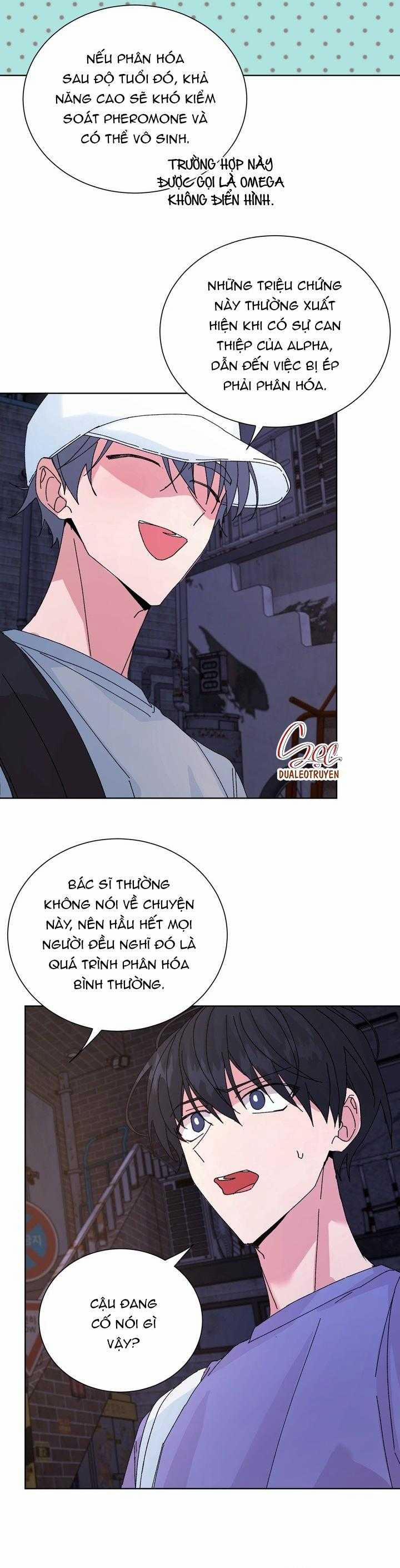 ĐẶC QUYỀN CHO CẶP ĐÔI MỚI CƯỚI 42 trang 10