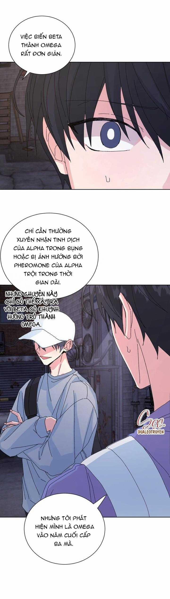 ĐẶC QUYỀN CHO CẶP ĐÔI MỚI CƯỚI 42 trang 14