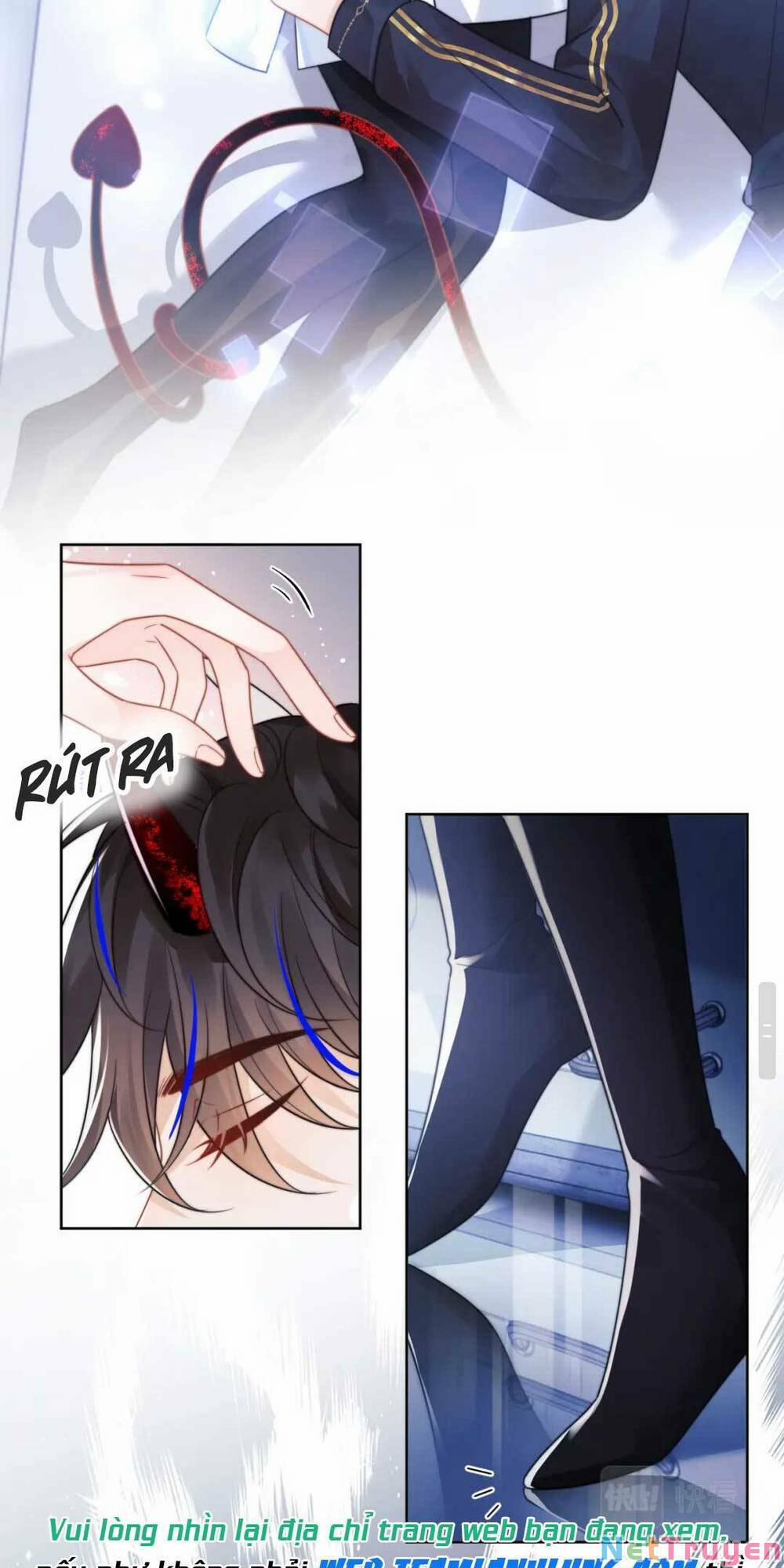 Đại Boss Cao Lãnh Lúc Nào Cũng Quấn Lấy Tôi 3 trang 14