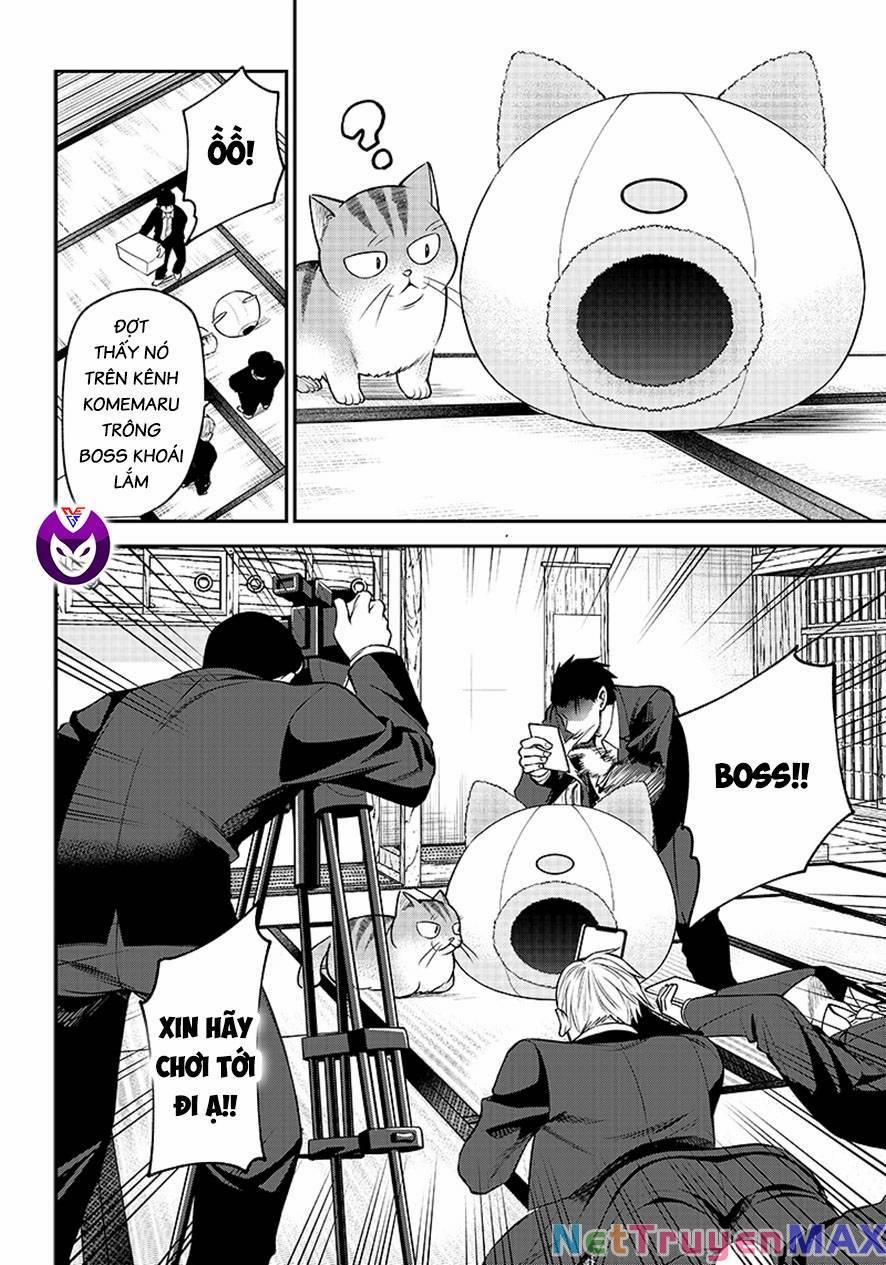 Đại Ca Băng Mèo Mướp 1 trang 11