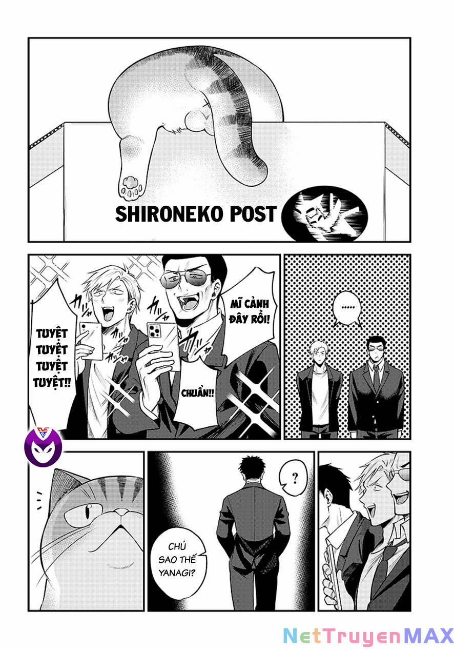 Đại Ca Băng Mèo Mướp 1 trang 13