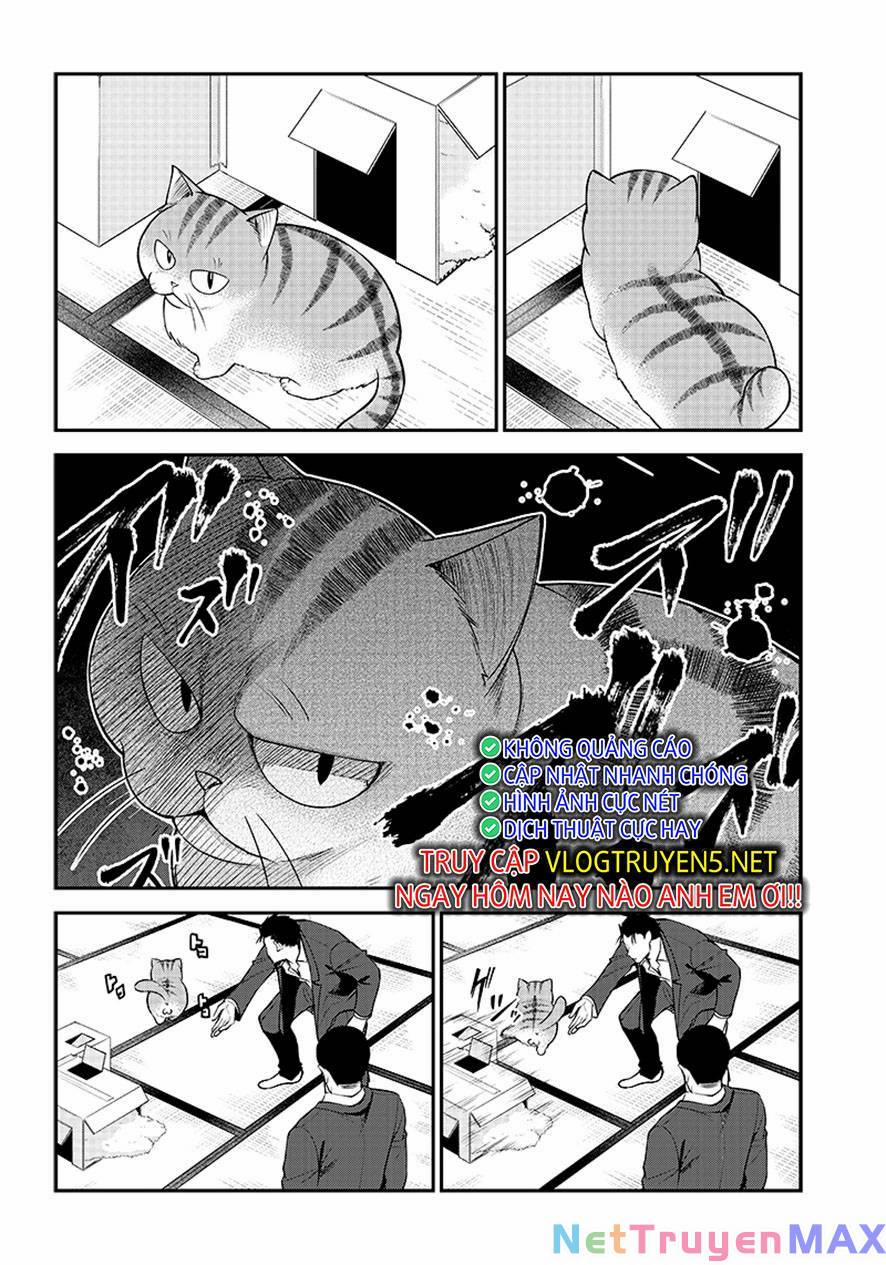 Đại Ca Băng Mèo Mướp 1 trang 18