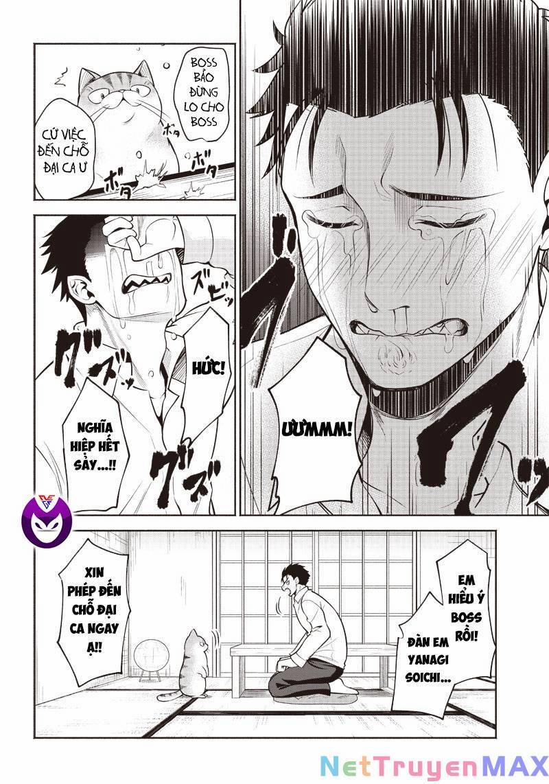 Đại Ca Băng Mèo Mướp 2 trang 6