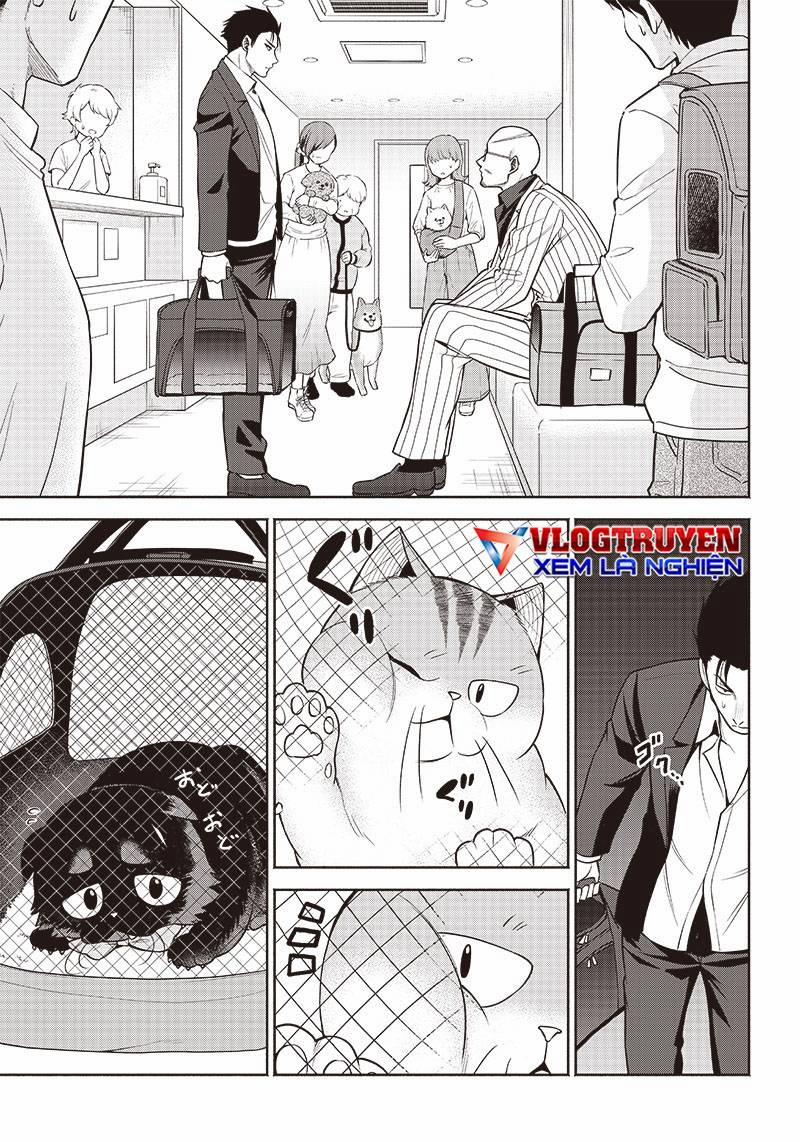 Đại Ca Băng Mèo Mướp 3 trang 8