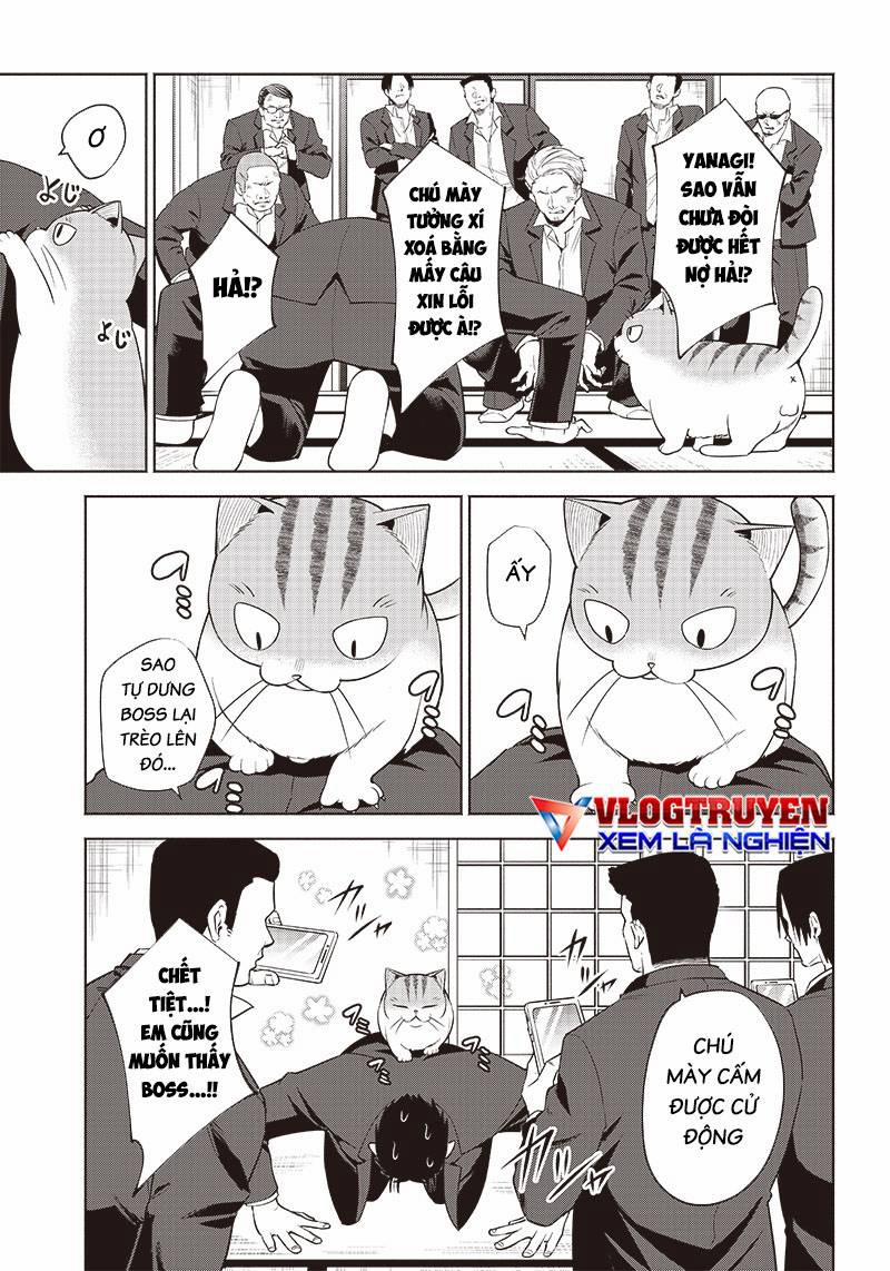 Đại Ca Băng Mèo Mướp 5 trang 3