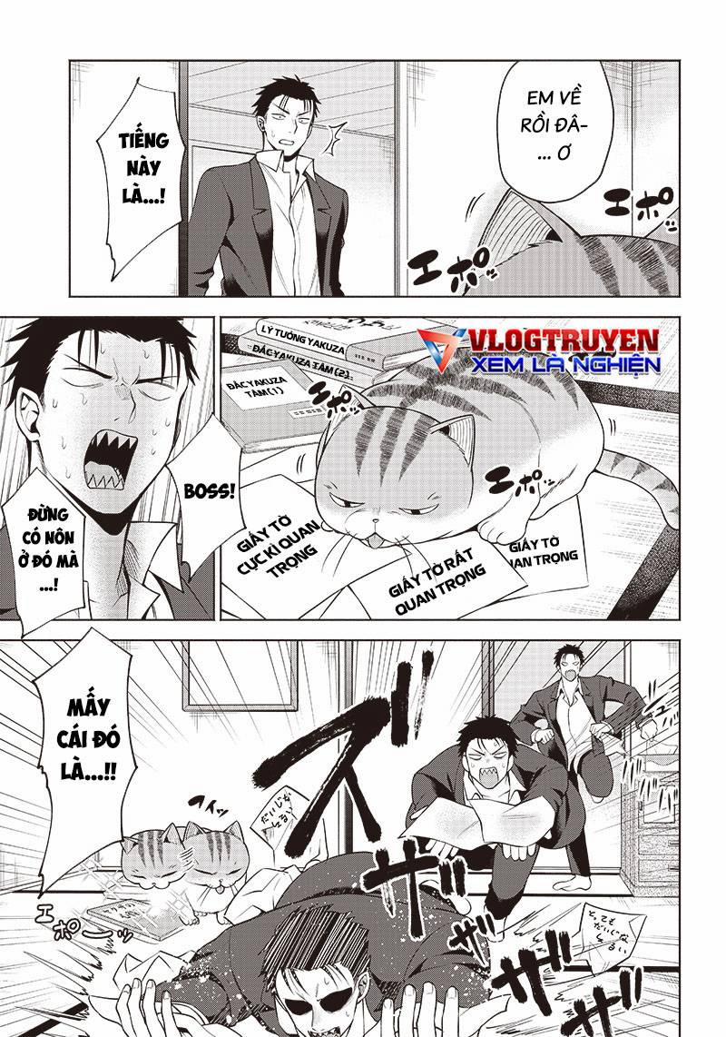 Đại Ca Băng Mèo Mướp 5 trang 5