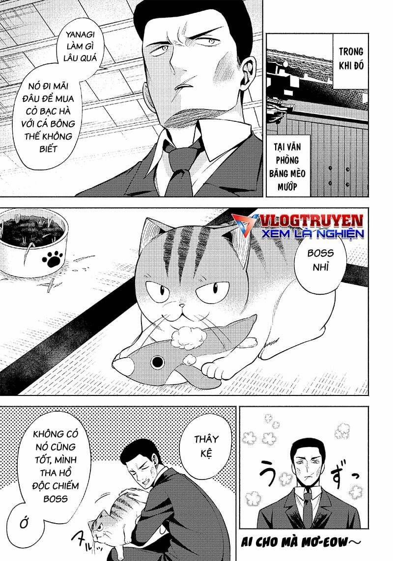Đại Ca Băng Mèo Mướp 6 trang 10