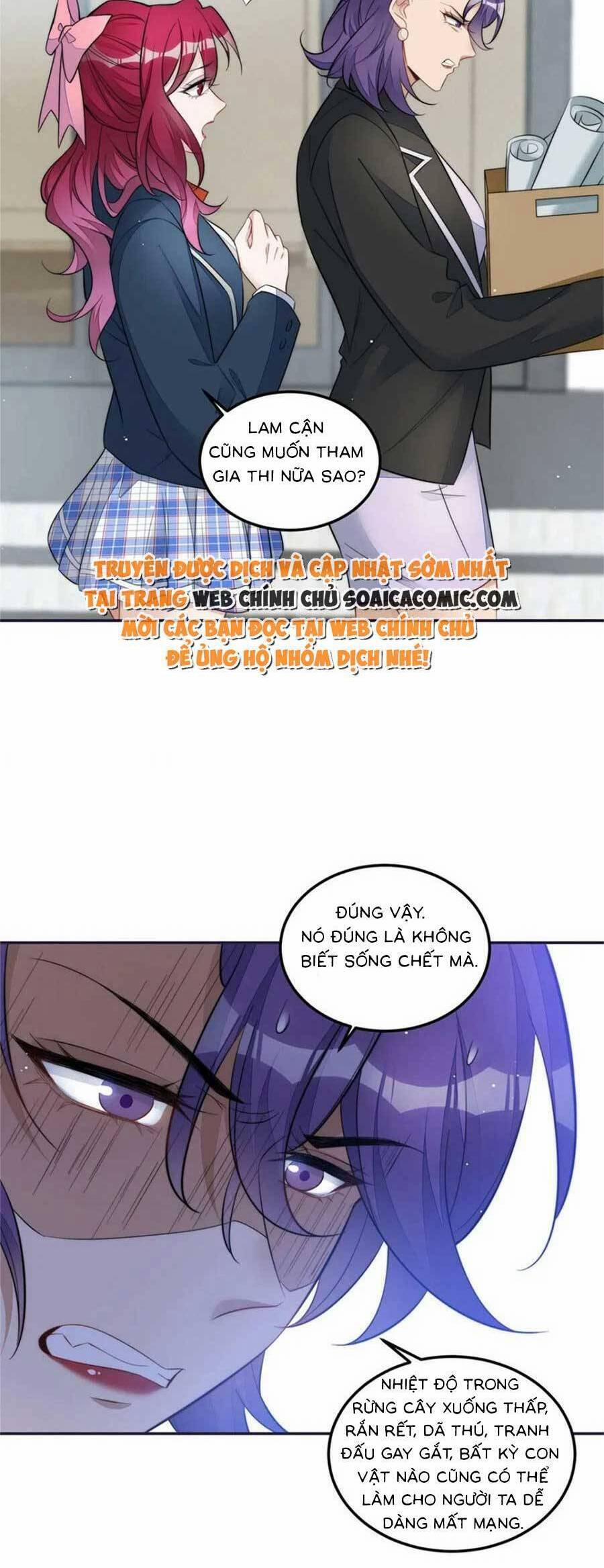 Đại Lão Nào Cũng Tranh Sủng Ta 243 trang 17