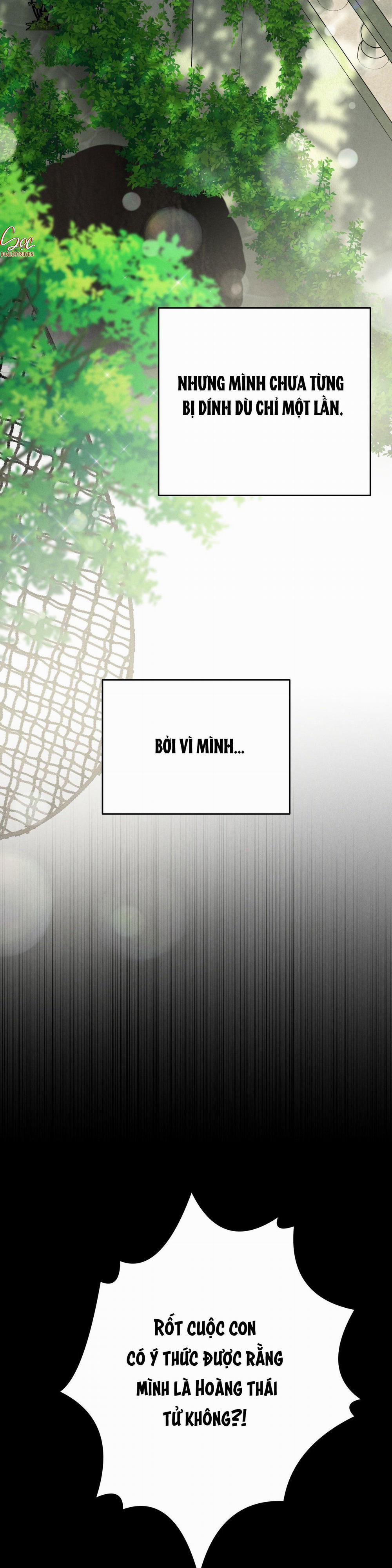 ĐÁM CƯỚI TAI TIẾNG 23 trang 22