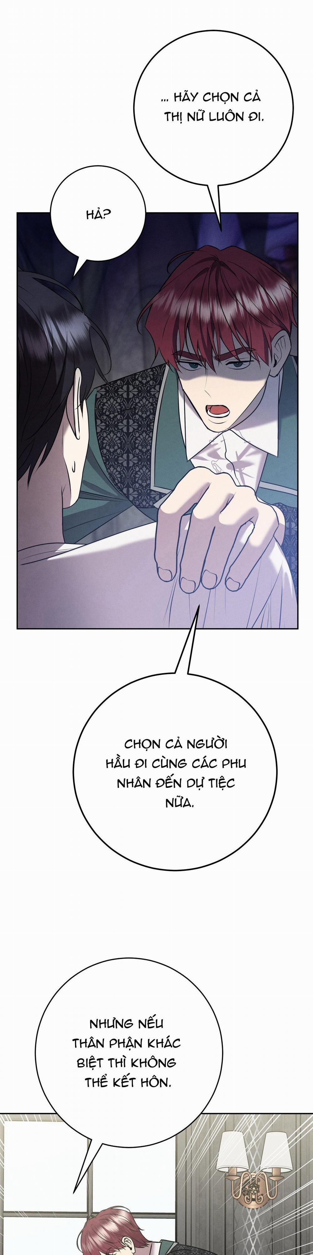 ĐÁM CƯỚI TAI TIẾNG 8 trang 29