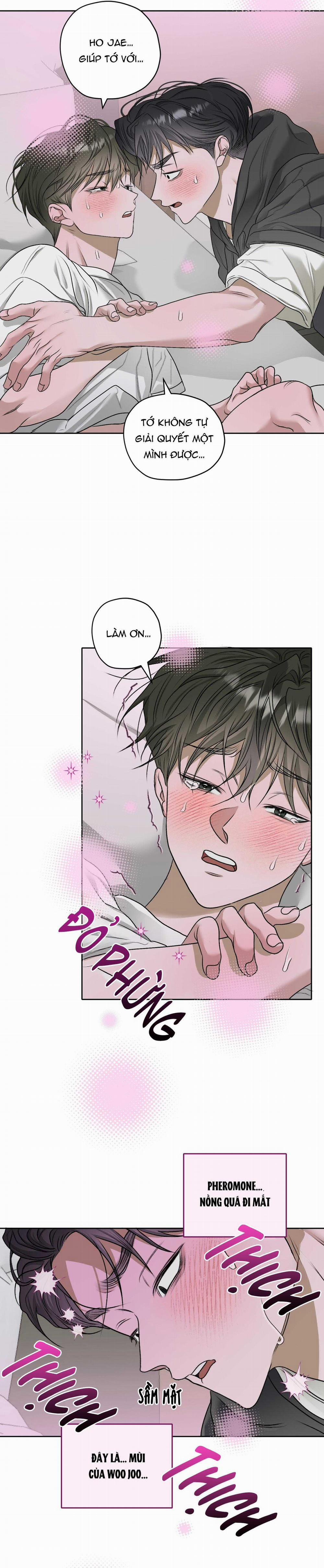 Đầm Hoa Sen 39 trang 13